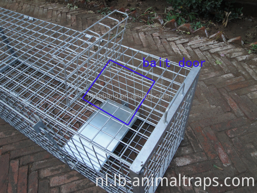 Humane opvouwbare levende dierenval Cage Fox Traps te koop